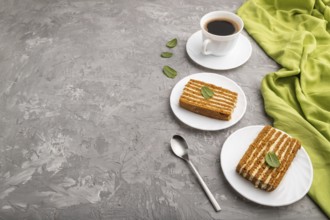 Homemade honey cake with milk cream and mint with cup of coffee on a gray concrete background and