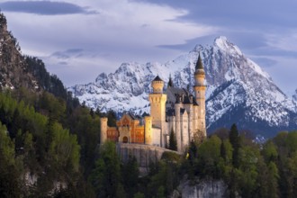 Neuschwanstein Castle near Füssen, Schwangau, Allgäu Alps, night shot, illuminated, snow, East