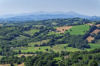 Landscape in the Marche region near San Ginesio and in the background the mountain range of the