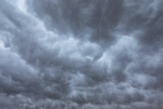 Landscape in Oman, thunderstorm atmosphere, rain clouds, Ayn Razat, Salalah, Dhofar Governorate,