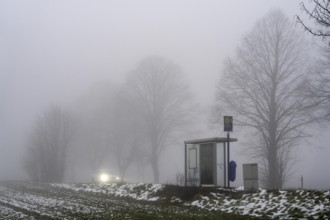 Dense fog, with visibility partly below 100 metres, country road, bus stop Am Treppchen,