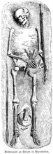 Complete skeleton from the cemetery of Selzen, a row cemetery from the Merovingian period, grave