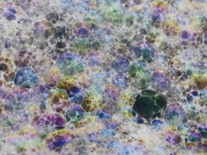 Colorful patterns of bubbles on the beach, caused by the wind blowing the sea spray inland, where