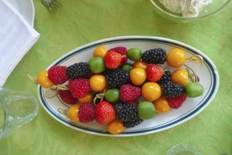 Fruit skewers arranged on serving platter, raspberries, blackberries, kiwi, physalis, bladder