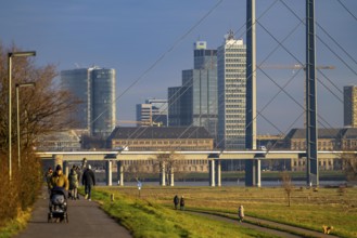 View of the Düsseldorf skyline with the Rheinkniebrücke bridge from the Oberkassler Rheinwiesen