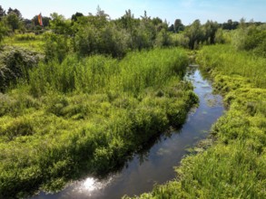 Bottrop-Gladbeck, North Rhine-Westphalia, Germany, Renaturalised Boye, the tributary of the