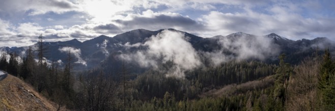 Morning fog at Großer Zellerhut, Großer Zeller Hut, Ybbstal Alps, Zellerrainstraße, Grünau near