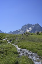 Stream in meadow behind glacier of the Agnieux group, Villar-d'Arêne, Département Hautes-Alpes,