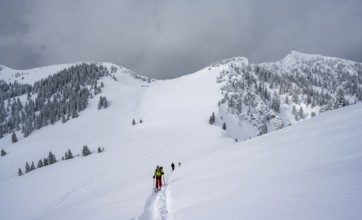 Ski tourers on the ascent to Raukopf, mountain landscape in the snow, mountain peaks Tanzeck and