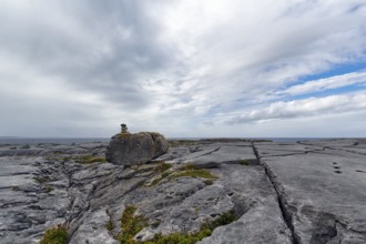 Bizarrely shaped limestone slabs, hiking trail, stone stacks on coastline, limestone coast of the