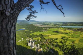 Neuschwanstein Castle, behind it the Schwansee, Weissensee, Fuessen, Hopfensee and Forggensee,