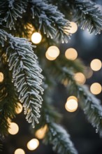 Detailed shot of frosted pine branches with twinkling fairy lights and icicles hanging, creating a