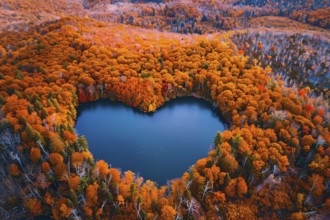 Heart shaped lake in middle of colorful autumn forest. Generative Ai, AI generated