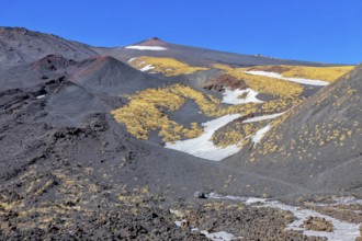 Etna National Park, Etna, Sicily, Italy, Europe