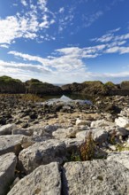 Pristine rocky coastline, coastline, fair weather clouds, Ballintoy Harbour, Causeway Coastal