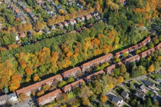 Living, block of flats, old, Geesthang, forest, autumn, autumn forest, Indian summer, Bergedorf,