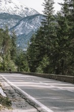 Road bike rider in spring in the Allgäu against the picturesque backdrop of the Alps, Bavaria,