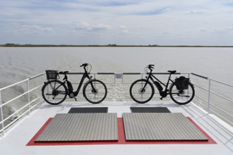 Bicycles on bicycle ferry, Illmitz, Lake Neusiedl National Park, Seewinkel, Burgenland, Austria,