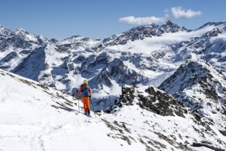 Ski tourer in front of a mountain panorama with snow-covered mountain landscape in winter, Ortler