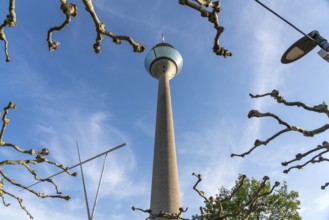 Rheinturm television tower, state capital Düsseldorf, North Rhine-Westphalia, Germany, Europe