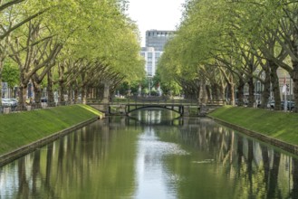 The Stadtgraben or Kö-Graben in Königsallee, state capital Düsseldorf, North Rhine-Westphalia,