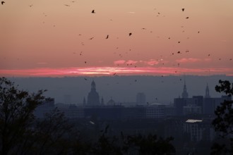 View of the Church of Our Lady Dresden, October evening, Dresden, Saxony, Germany, Europe