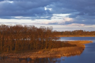 River surrounded by trees under a cloudy sky in the golden evening light, view into the Randow loop