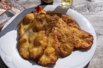 Potato leaves with sauerkraut, food, South Tyrolean speciality, Staller Almen, high valley, Staller