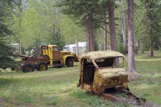 Two rusty vehicles standing in the middle of the forest in a clearing, former army camp, Yukon,