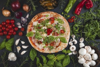 Colourful pizza topped with basil, tomatoes, rocket and mushrooms surrounded by ingredients