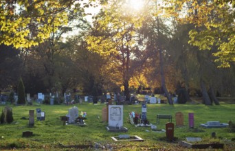 Muslim graves strictly aligned to Mecca, main cemetery, autumn, autumn mood, Stuttgart,