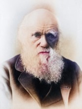 Charles Darwin 1809 1882 English naturalist, Historical, digitally restored reproduction from a