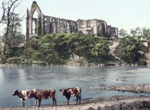 Bolton Abbey is the ruin of a 12th century monastery in Yorkshire, England, around 1890, Historic,