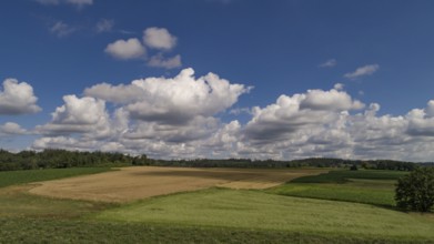 Summery cloudy sky over a cultivated landscape in Bavarian Swabia, Bavaria, Germany, Europe