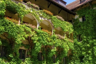 Arcades, town hall, former trading house, Burggasse, Schwaz, Inntal, Tyrol, Austria, Europe