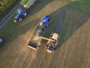 Aerial view of two tractors and a trailer working in a field during the harvest, Haselstaller Hof,