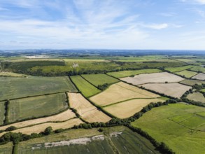 Fields and farms over Osmington White Horse from a drone, Osmington Hill, Weymouth, Dorset,