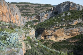 Deep gorge with steep rock faces and a river, surrounded by vegetation-rich mountains, Vero River,