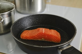 Closeup view of piece of fresh trout steak in a frying pan on electric stove