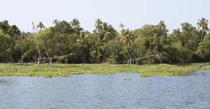 Palm trees and Chinese fishing nets on the shore of Lake Vembanad, canal system of the backwaters,