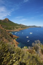 Coast and red rocks, Massif de l'Esterel, Esterel Mountains, Département Var, Région