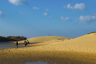 Sand dunes and blue sky, Praia da Bordeira, Carrapateira, Algarve, West Coast, Atlantic Ocean,