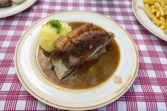 Fresh Schäuferle with dumplings served in a garden restaurant, Franconia, Bavaria, Germany, Europe