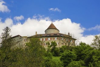 Reichenberg Castle, Staufer castle complex, hilltop castle, historical building, built between 1230