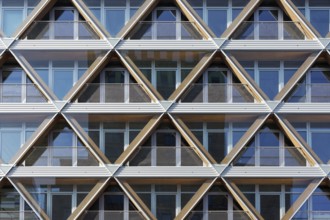 Façade with honeycomb structure, office building The Cradle, innovative timber hybrid building by