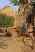 Temple of Hera, in the Valley of the Temples, Agrigento, Sicily, Italy, Europe