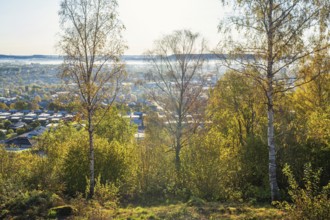 Cityscape view over a town in a valley with morning mist and autumn colours, Falköping, Sweden,