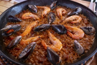 Paella, Food, Tapas Bar, Restaurant, Carrer de la Marina, Barcelona, Catalonia, Spain, Europe