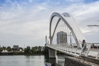 Bridge over the Rhine, cable-stayed bridge Passerelle des Deux Rives, Kehl, Ortenau,