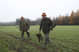 Hunter with hare (Lepus europaeus) and pheasant (Phasianus colchicus) Lower Austria, Austria,